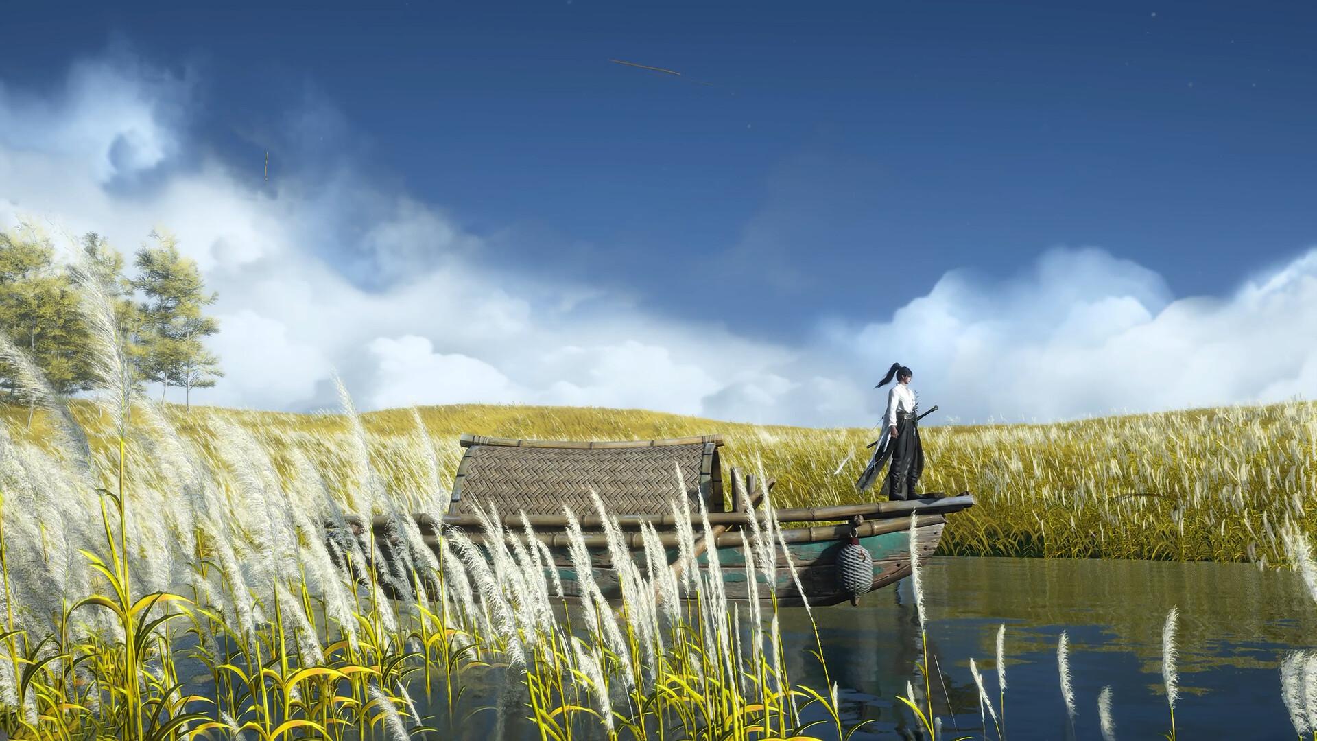 Boat drifting through reed marshes